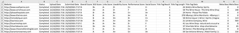 CSV result